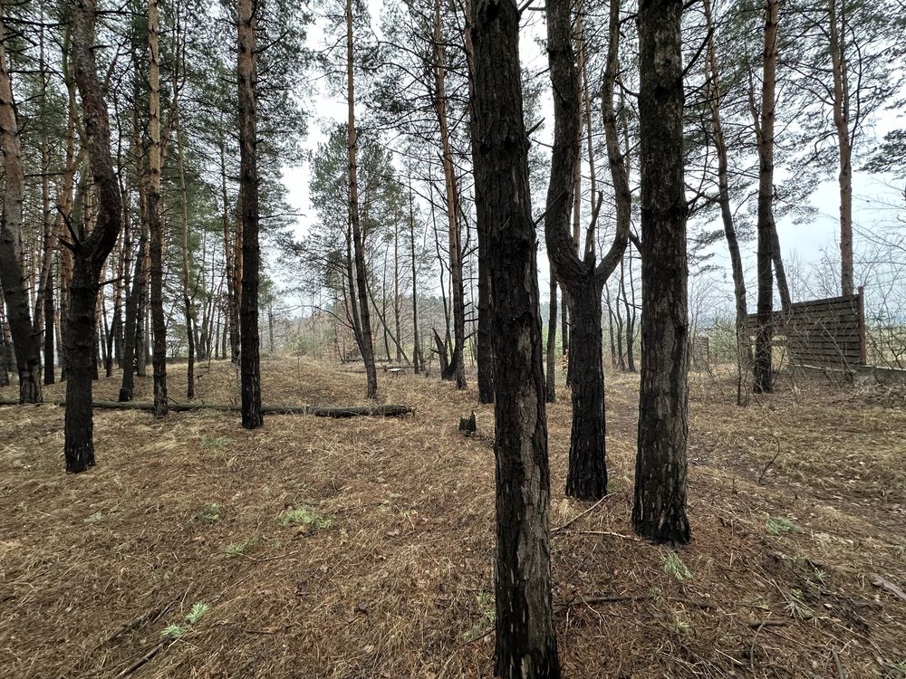 Ділянка з виходом на воду Дніпро, Стугна, с. Таценки Обухівський район