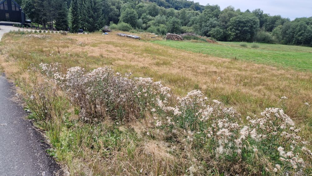 Dzialka budowlana Jabłonka