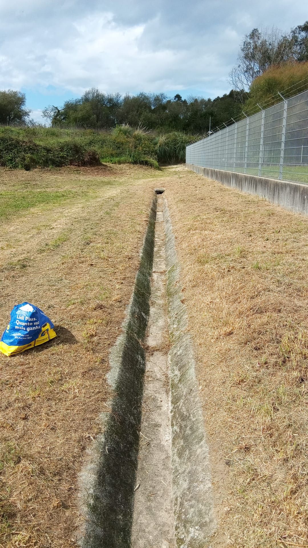 Limpeza de Terrenos Florestais · Abate de Árvores · Lenha · Jardinagem