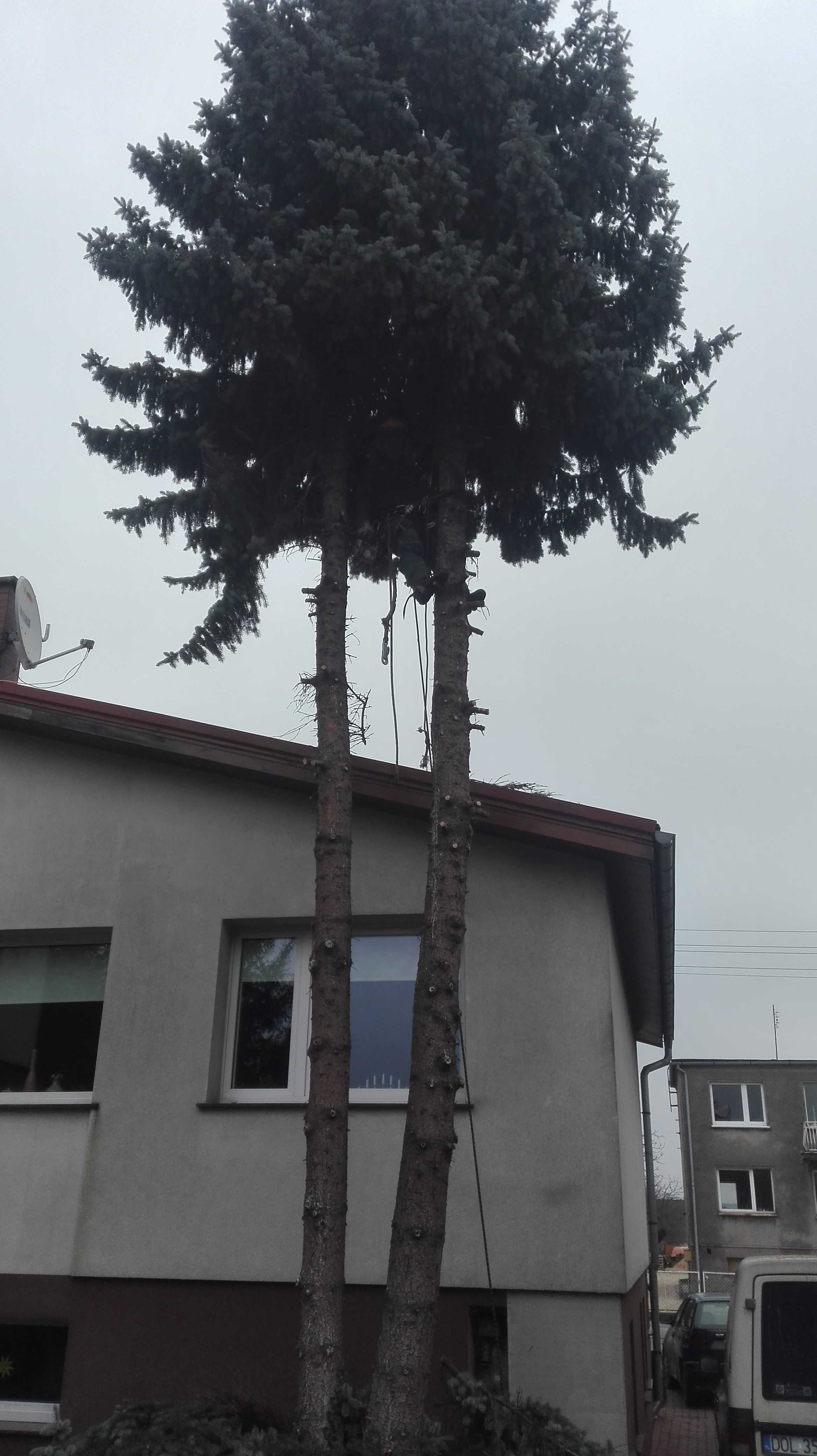 Wycinka i Pielęgnacja Drzew, Wynajem Podnośnika 26 metrów