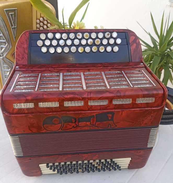 Acordeon Orca 2 voz com acessórios