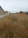 Terreno rústiico 1050 m2