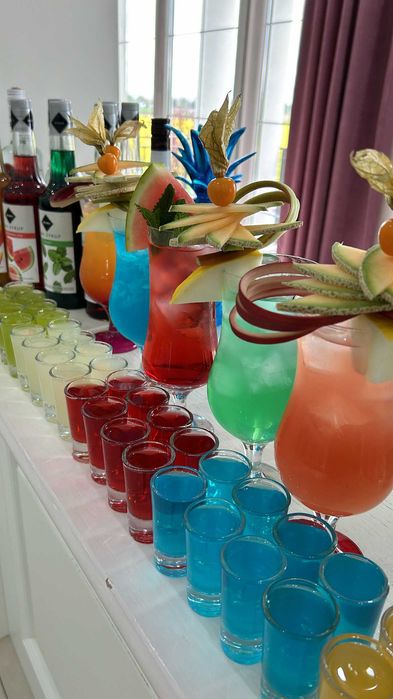 • Mobilny Drink Bar • Usługi barmańskie • Barman - Drinkbar • Wesele