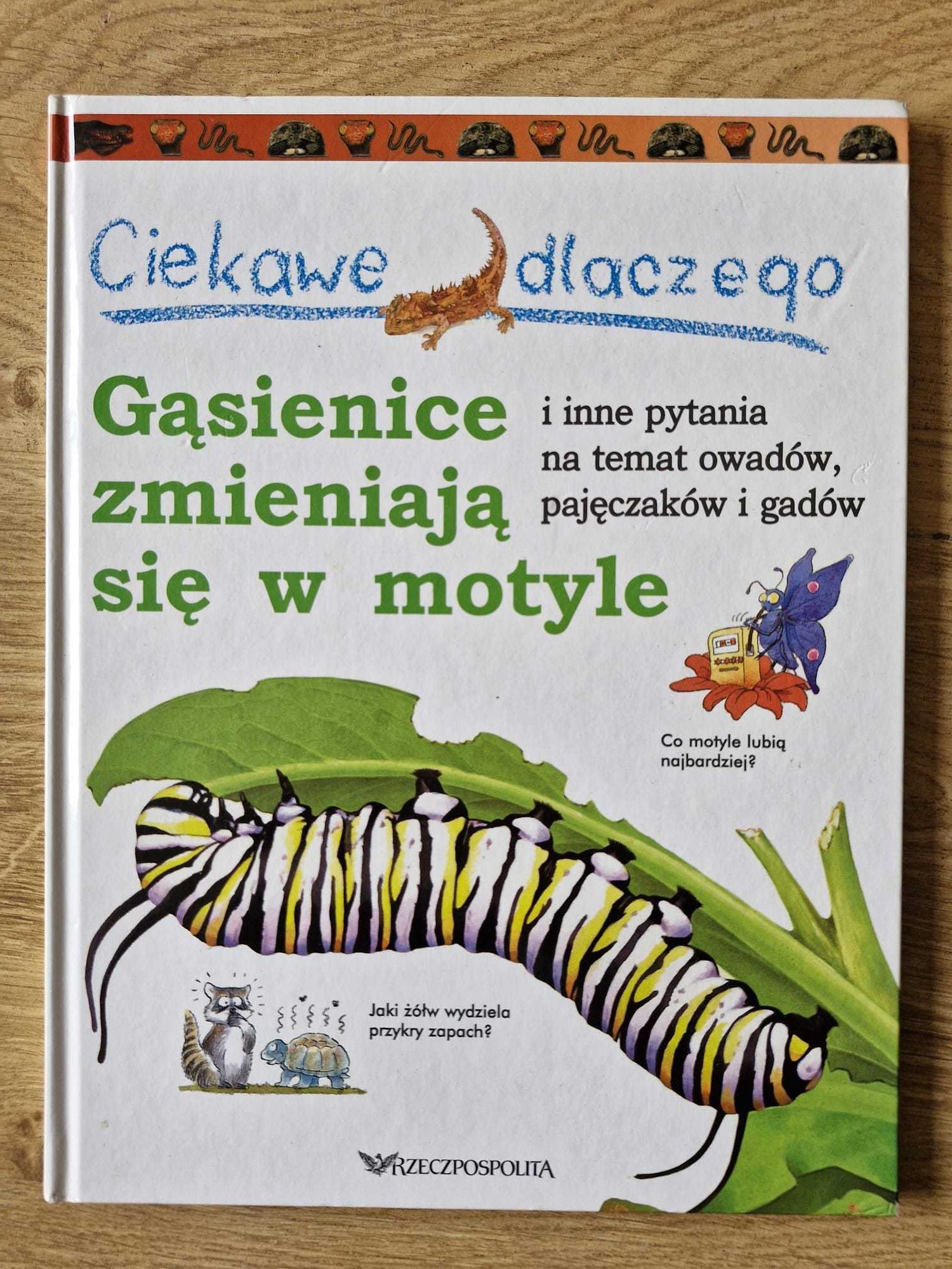 Ciekawe dlaczego Gąsienice zmieniają się w motyle