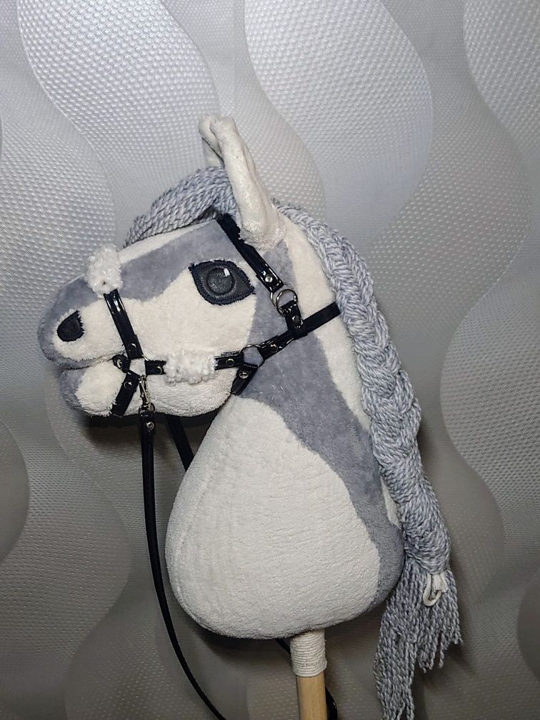 Hobby horse konik