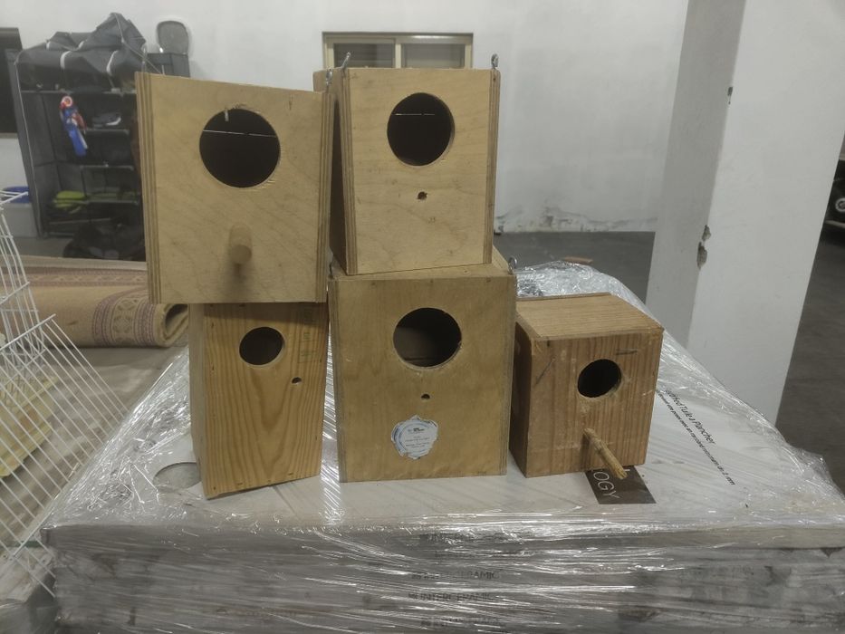 Conjunto de ninhos pássaros pequenos