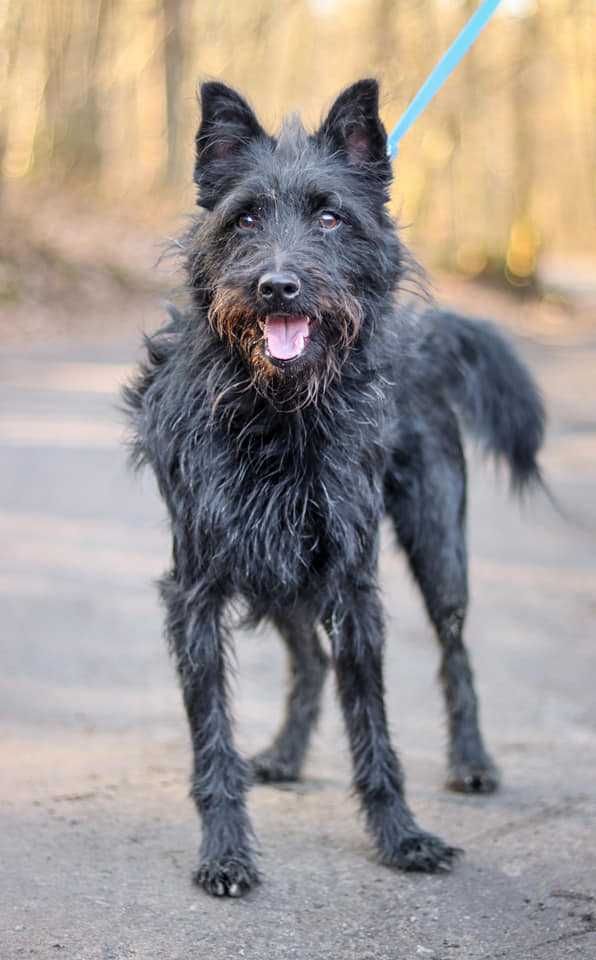 Wesoły Mati poleca się do adopcji