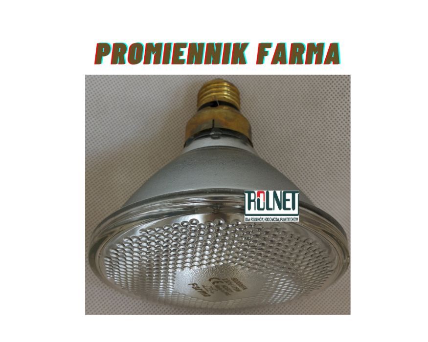 promiennik podczerwieni Par Farma, biały, 175 w