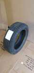 1X Opona Gold-Gum Alp A3 205/50 R17 8,5mm 1219