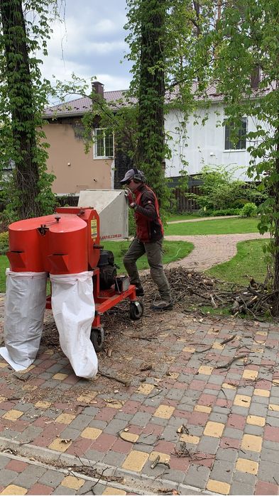 Зріз аварійних дерев! Кронування дерев|Видалення дерев|Корчування пнів