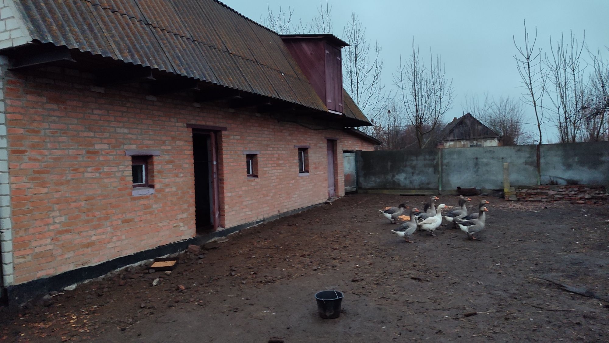 Житловий будинок.