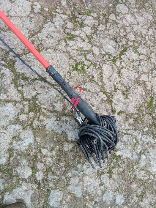 Varejador de azeitonas.