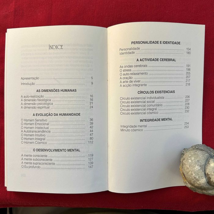 Pistas Para a Auto-Realização Autor: Cristo Martins (portes incluídos)