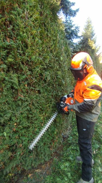 wycinka drzew przycinanie krzewów tui mycie kostki kosznie