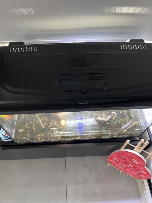 Akwarium Aquael stan idealny 112litrow