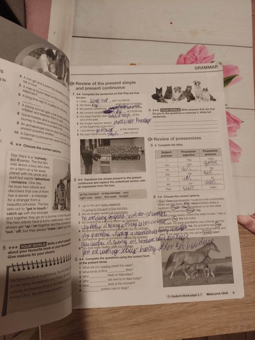 Ćwiczenia do języka angielskiego Link VIII workbook