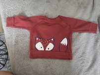 Bluza z lisem burgundowy ladybird 62
