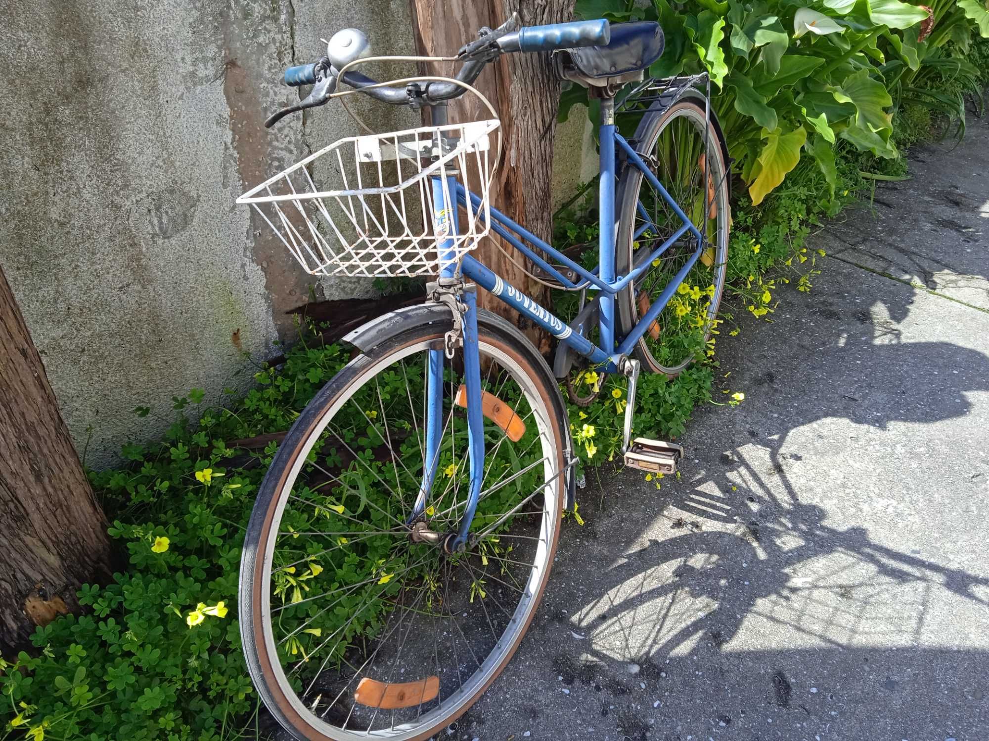 Bicicleta "pasteleira "