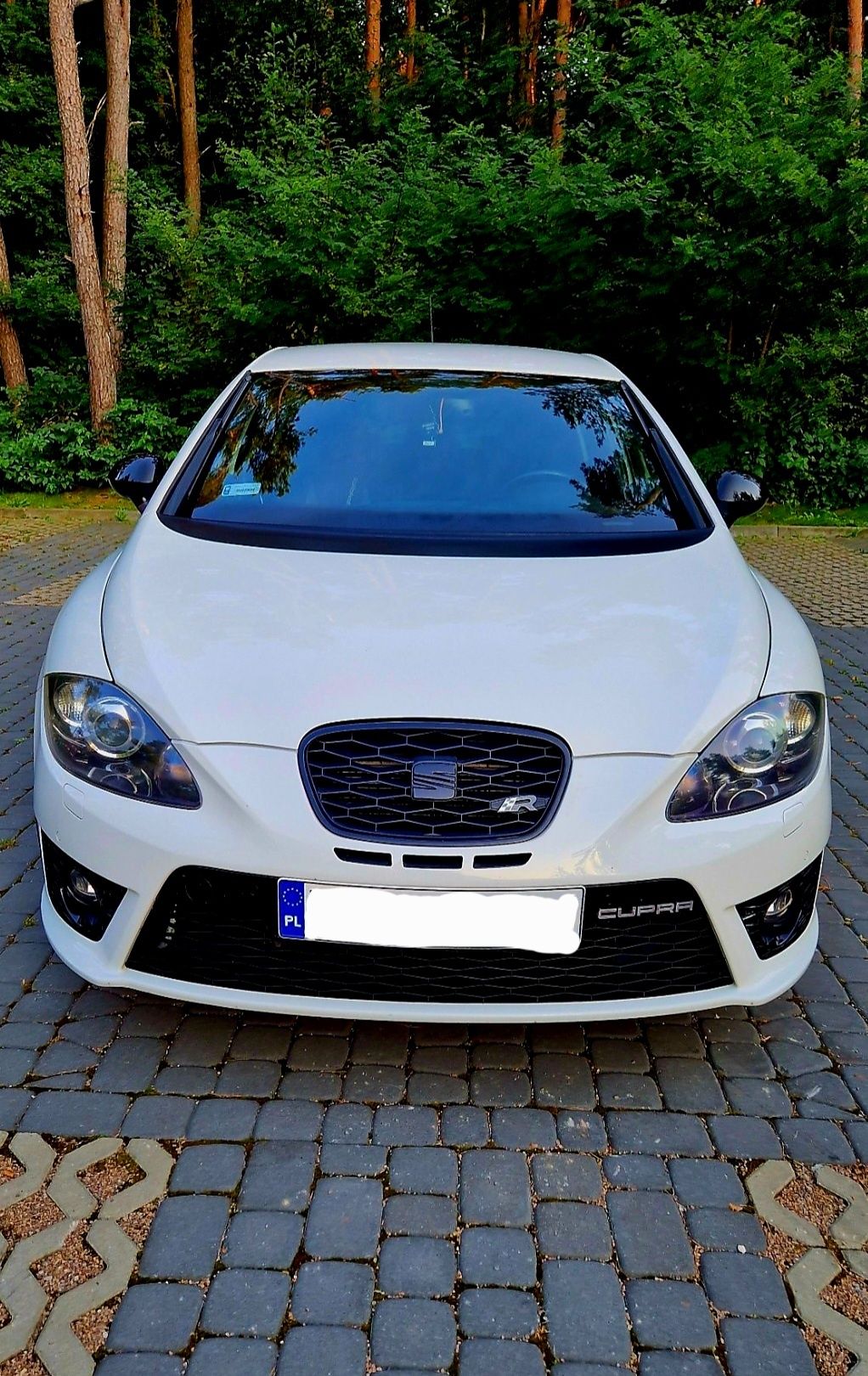 Seat Leon 2 Cupra R 2010 2.0 265KM