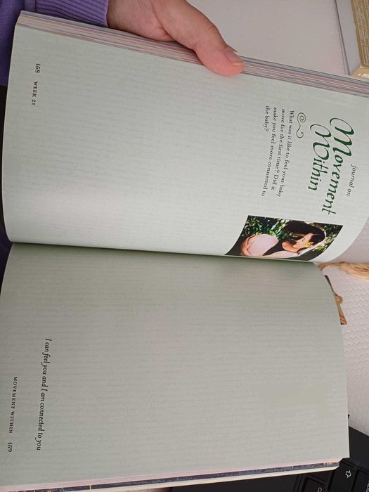 Livro Sacred Pregnancy