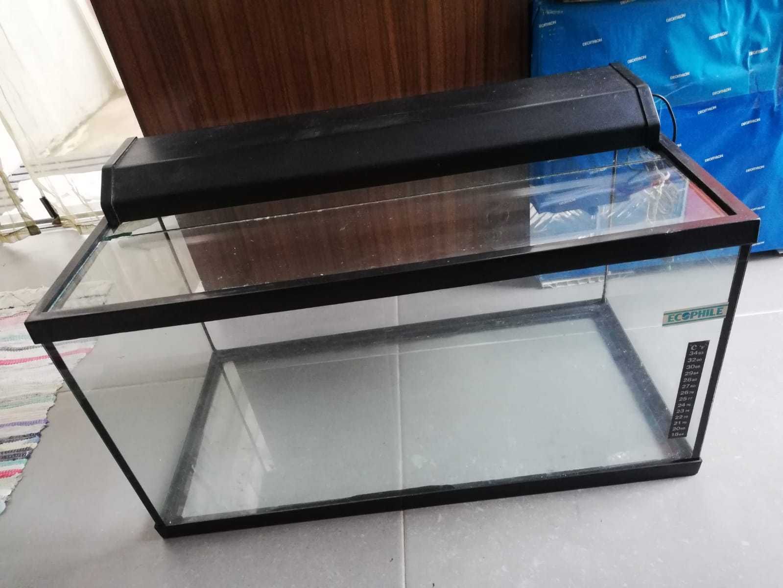 Aquário grande para os seus animais