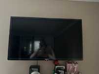 Telewizor jeszcze z folia