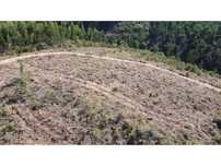 5 Terrenos de Eucaliptal - Carril, Tomar
