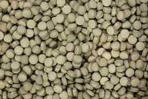 Witaminy tabletki DZIKA RÓŻA POKRZYWA SPIRULINA zdrowy pies 100g GLOPE