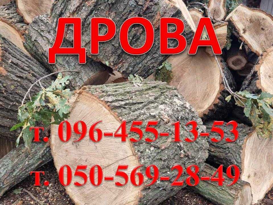 Дрова твердих порід