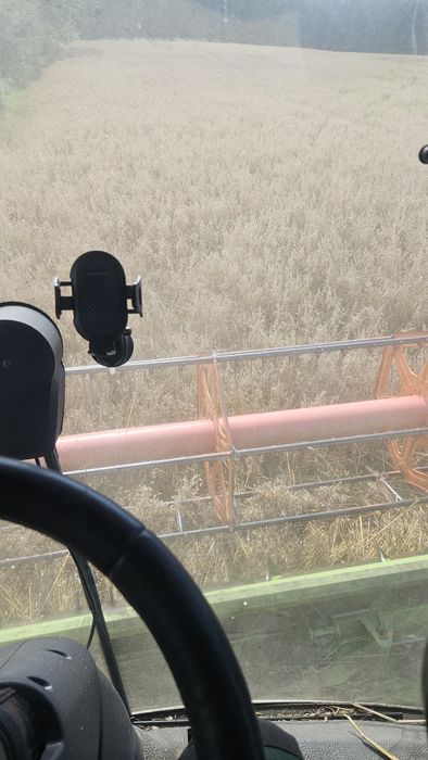 Biorę w dzierżawę grunty