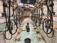 Ordenha Delaval 14 pontos