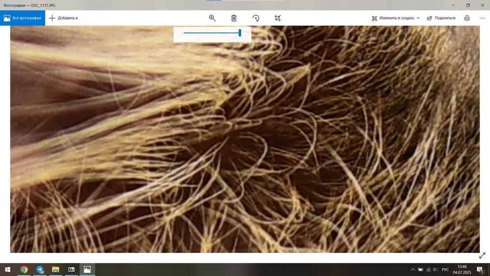 CD card 32gb sundisc