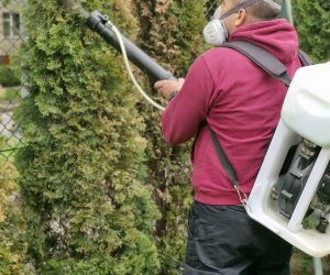 wycinka drzew, prace ogrodowe, usuwanie śmieci, skaryfikacja trawników