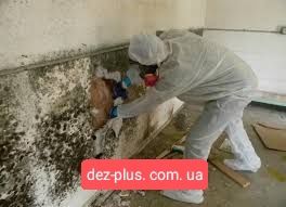 Запах уничтожить убрать удалить Уничтожение неприятного запаха уборка