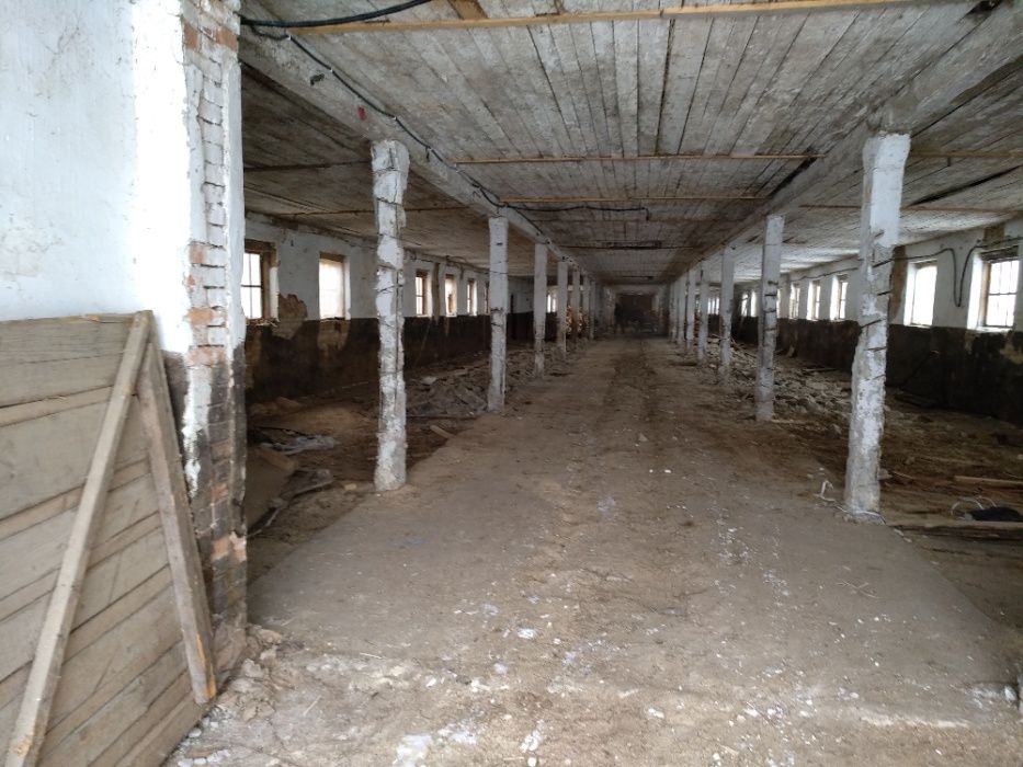 Пилорама діюча з приміщенням та системою відеонагляду інтернет