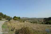 Terreno em Alvorge de 3365,00 m2