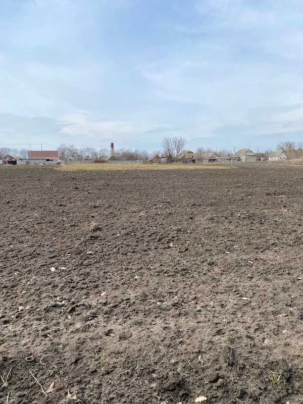 Продам земельну ділянку Шаровка Богодухівський район (168940)
