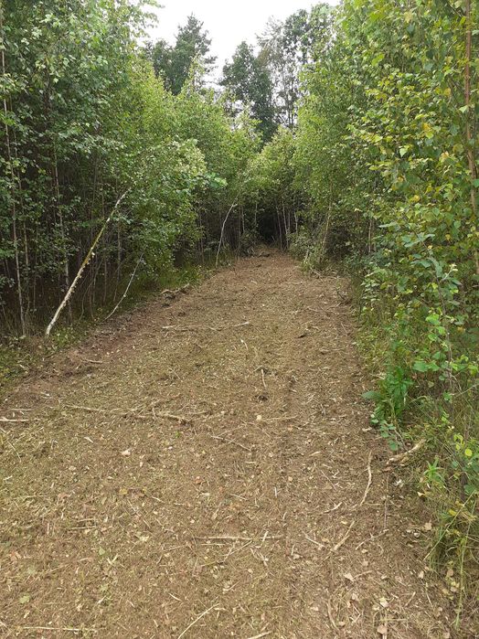 Czyszczenie działek mulczer leśny koszenie haszczy rekultywacja