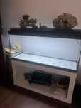 Aquario com movel e acessorios