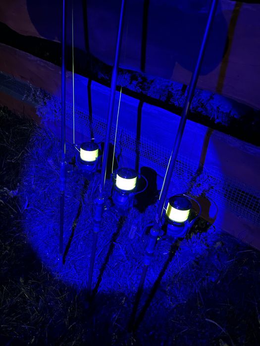 3x Okuma 8K z żyłkami Nash Fluo + strzałówki + 3 dodatkowe szpule