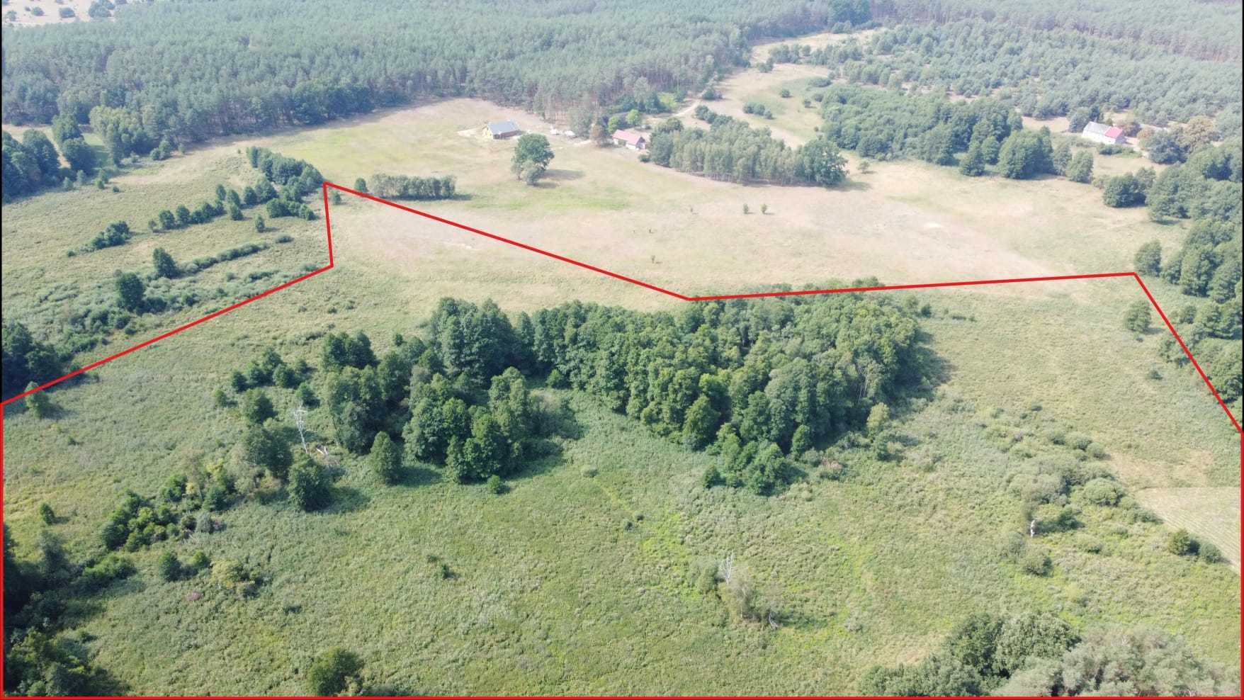 Ziemia rolna / Las - Miedzichowo - Silna Nowa, Trzciel - 9ha