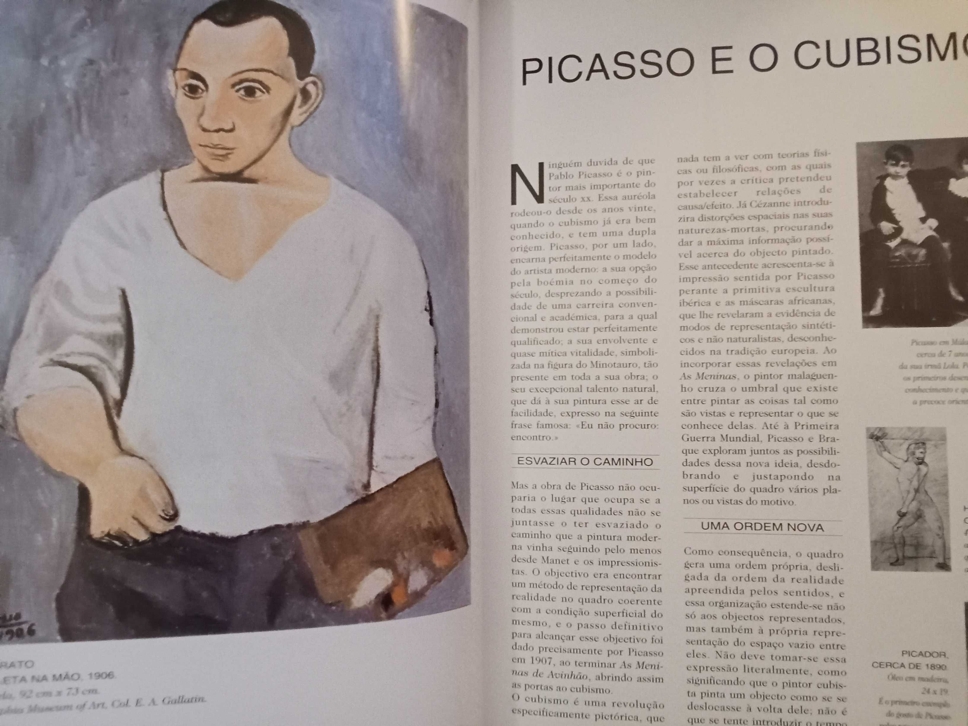 Picasso - Colecção Grandes Pintores do Século XX