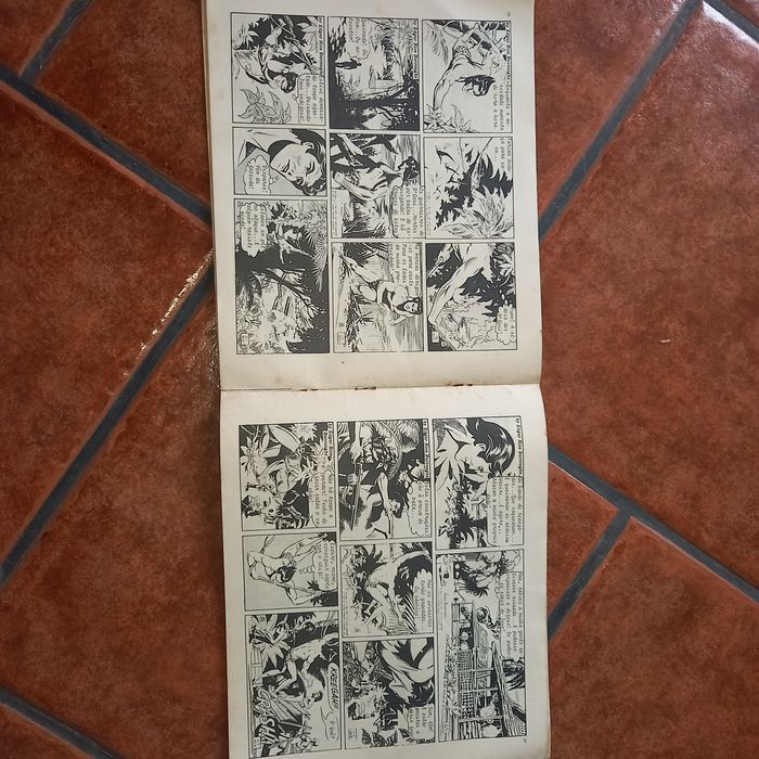 Livro de Banda desenhada Tarzan