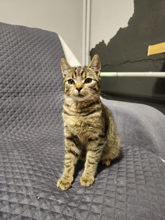 Błagam o dom. Nie chce wracać na dwór.