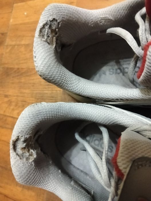 Кросівки Adidas Ozmillen