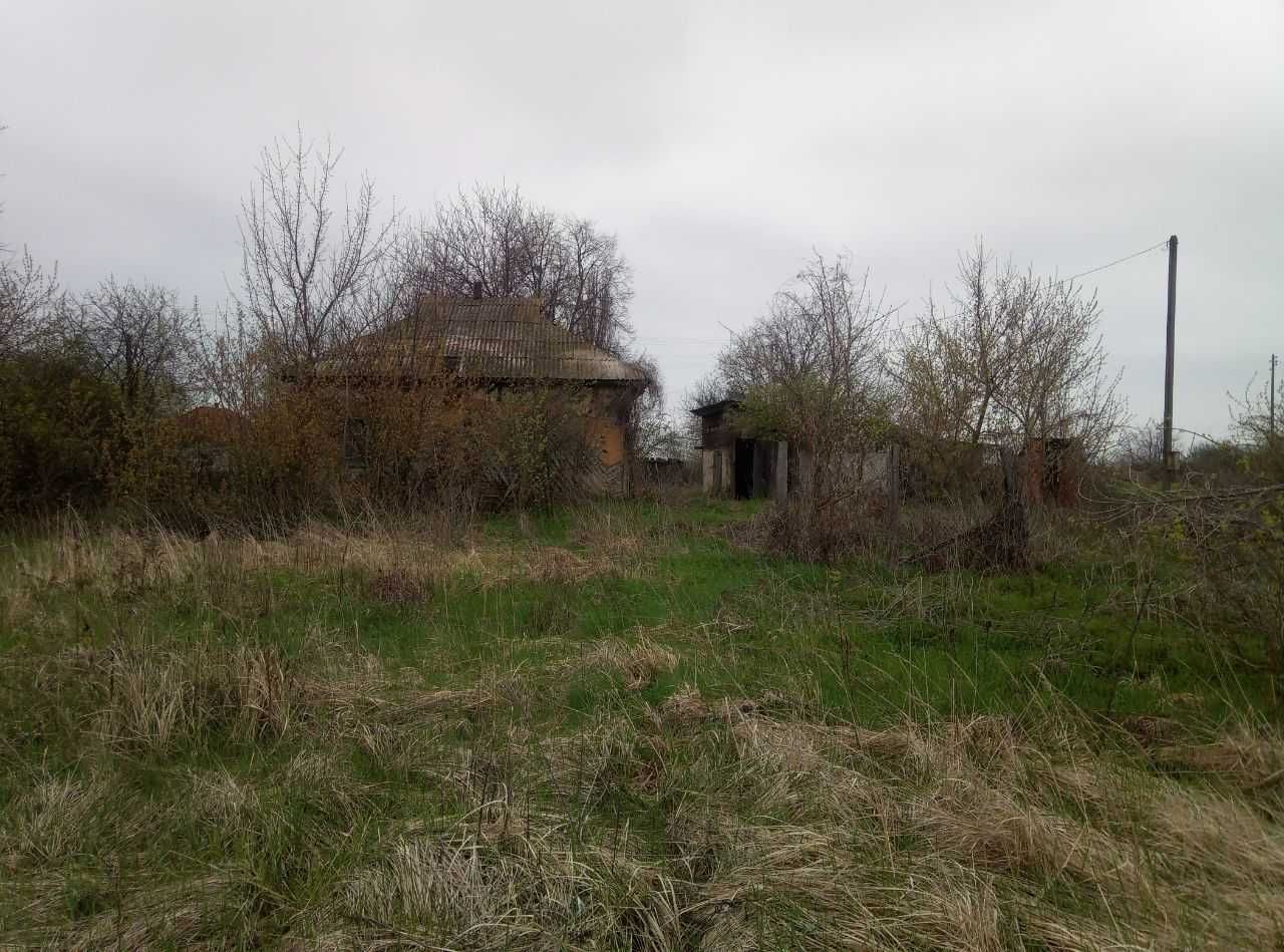 Ділянка 65 соток, село Мочалище Чернігівської області