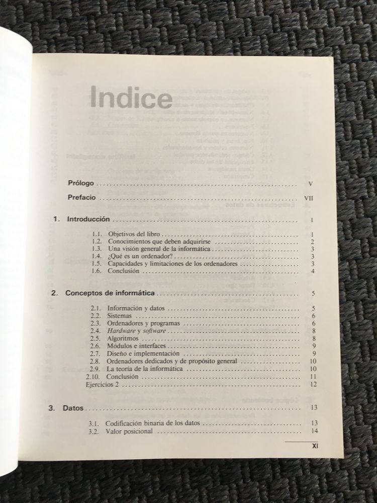 Conceptos de Informatica - Peter Bishop