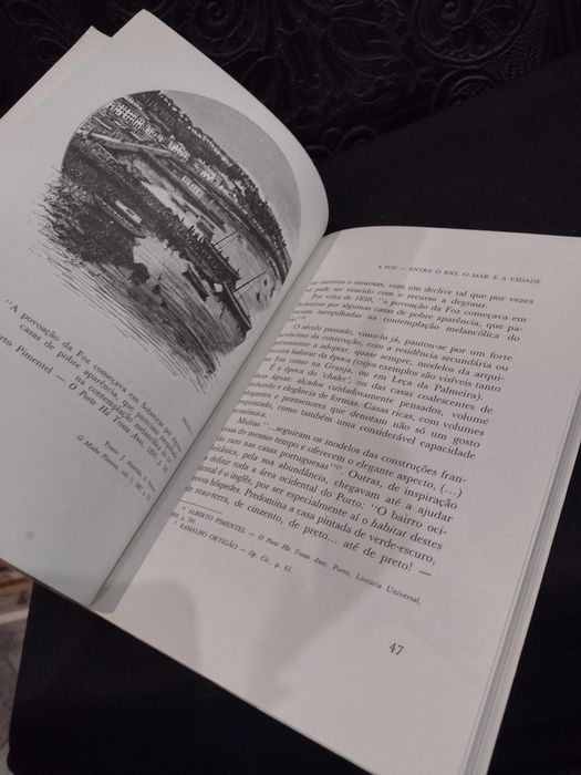 A Foz entre o Rio, o Mar e a Cidade - José Alberto Rio Fernandes