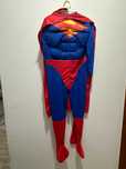 Fantasia Superman