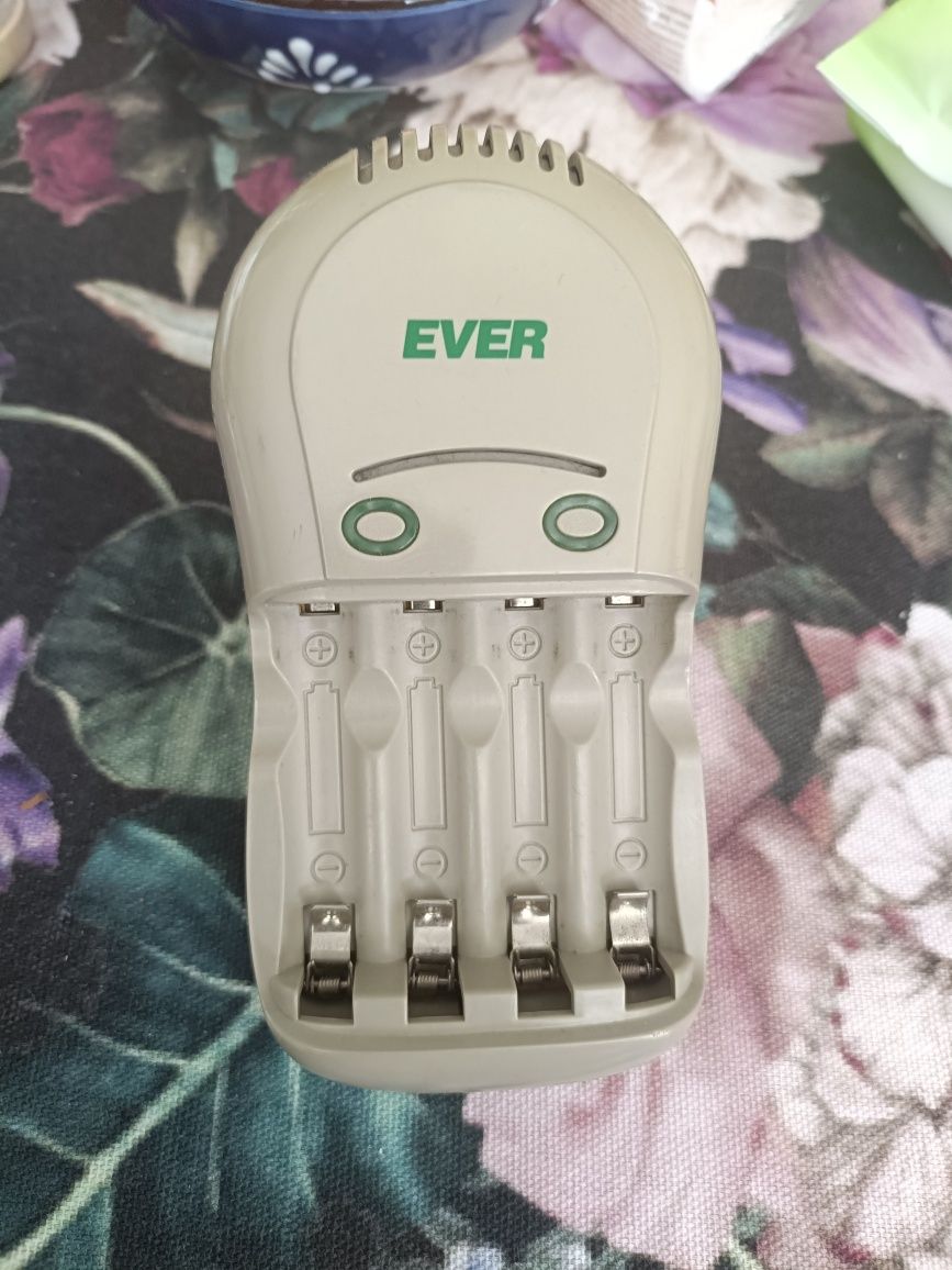 Ładowarka Ever E-100